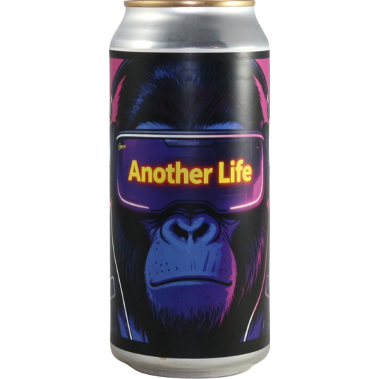 Another Life